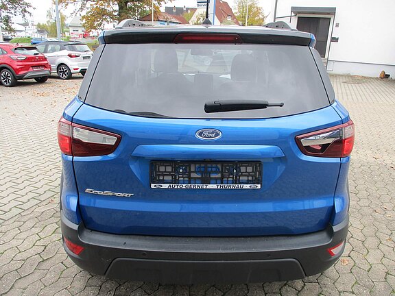 FORD_EcoSport_Active__6_.JPG 